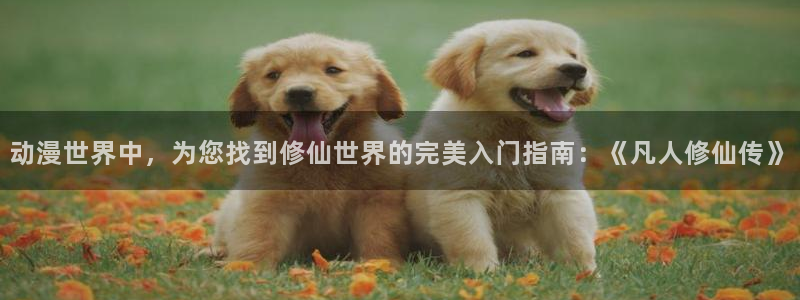 囧次元最新版本：动漫世界中，为您找到修仙世界的完美入门指南：《凡人修仙传》