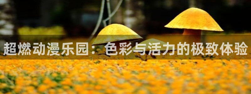 囧次元软件：超燃动漫乐园：色彩与活力的极致体验