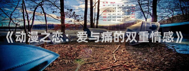 囧次元无广告：《动漫之恋：爱与痛的双重情感》
