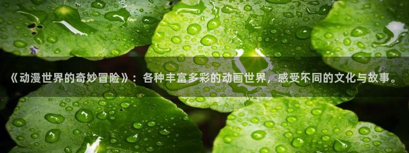 囧次元网站入口：《动漫世界的奇妙冒险》：各种丰富多彩的动画世界，感受不同的文化与故事。