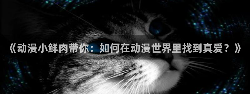 囧次元大全：《动漫小鲜肉带你：如何在动漫世界里找到真爱？》