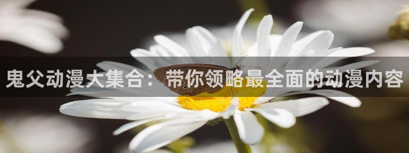 囧次元下载官方app：鬼父动漫大集合：带你领略最全面的动漫内容